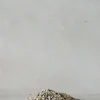 PLANT Topping sten - Natural Hot