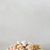 PLANT Topping sten - Peach Discount
