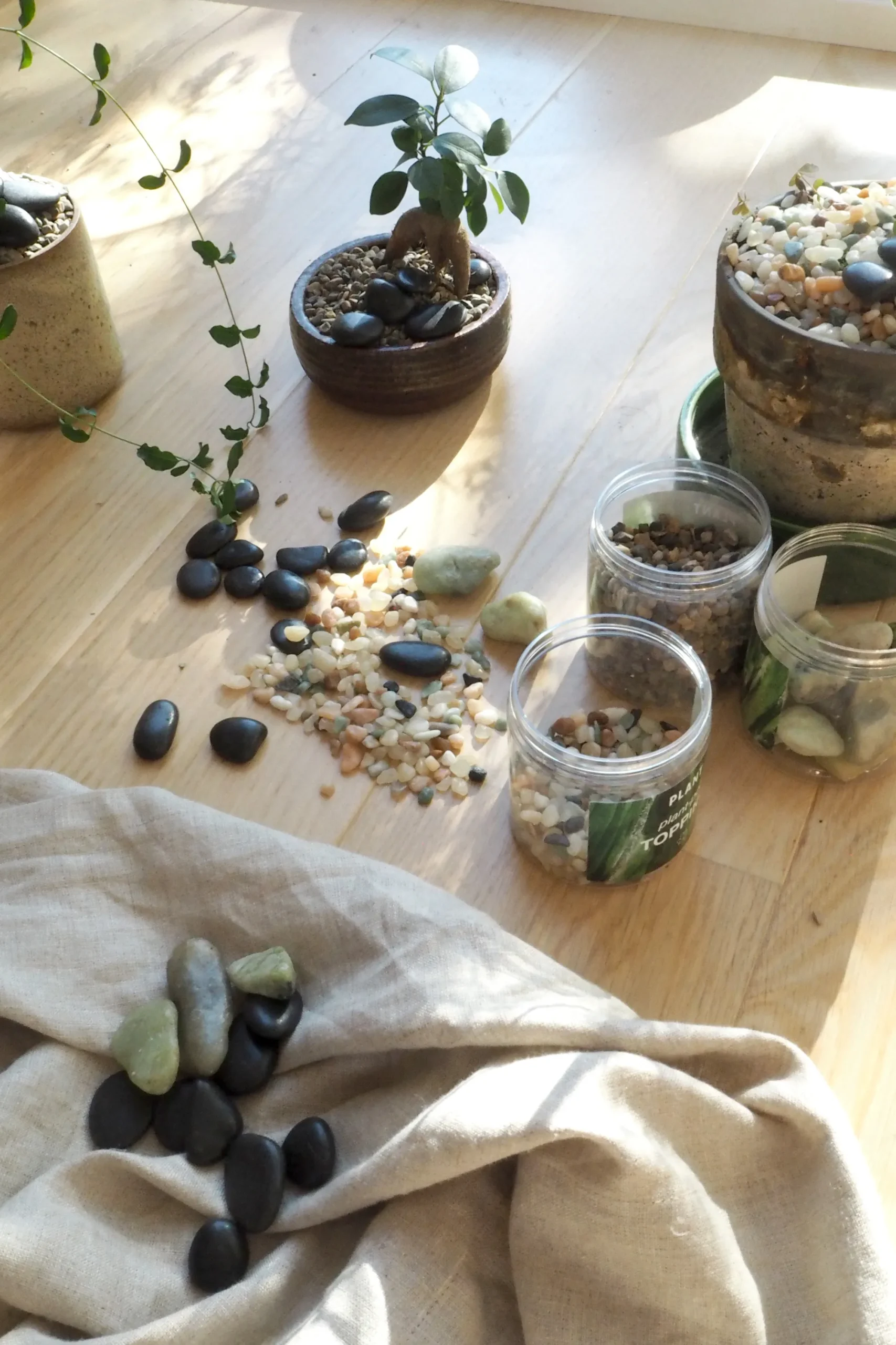 PLANT Topping sten - Sort Sale