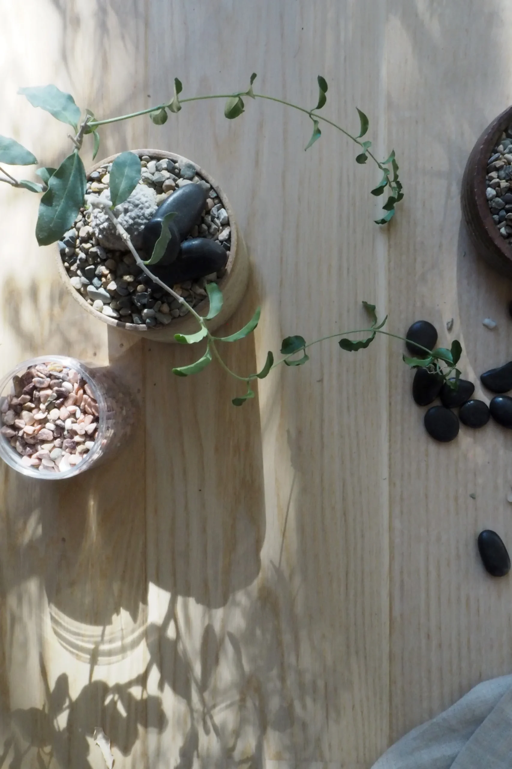 PLANT Topping sten - Sort Sale