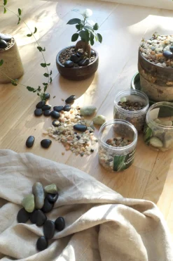PLANT Topping sten - Stor sort Outlet