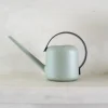 PLANT Vandkande, lysegrøn Online