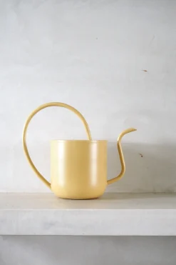 PLANT Vandkande, pale yellow