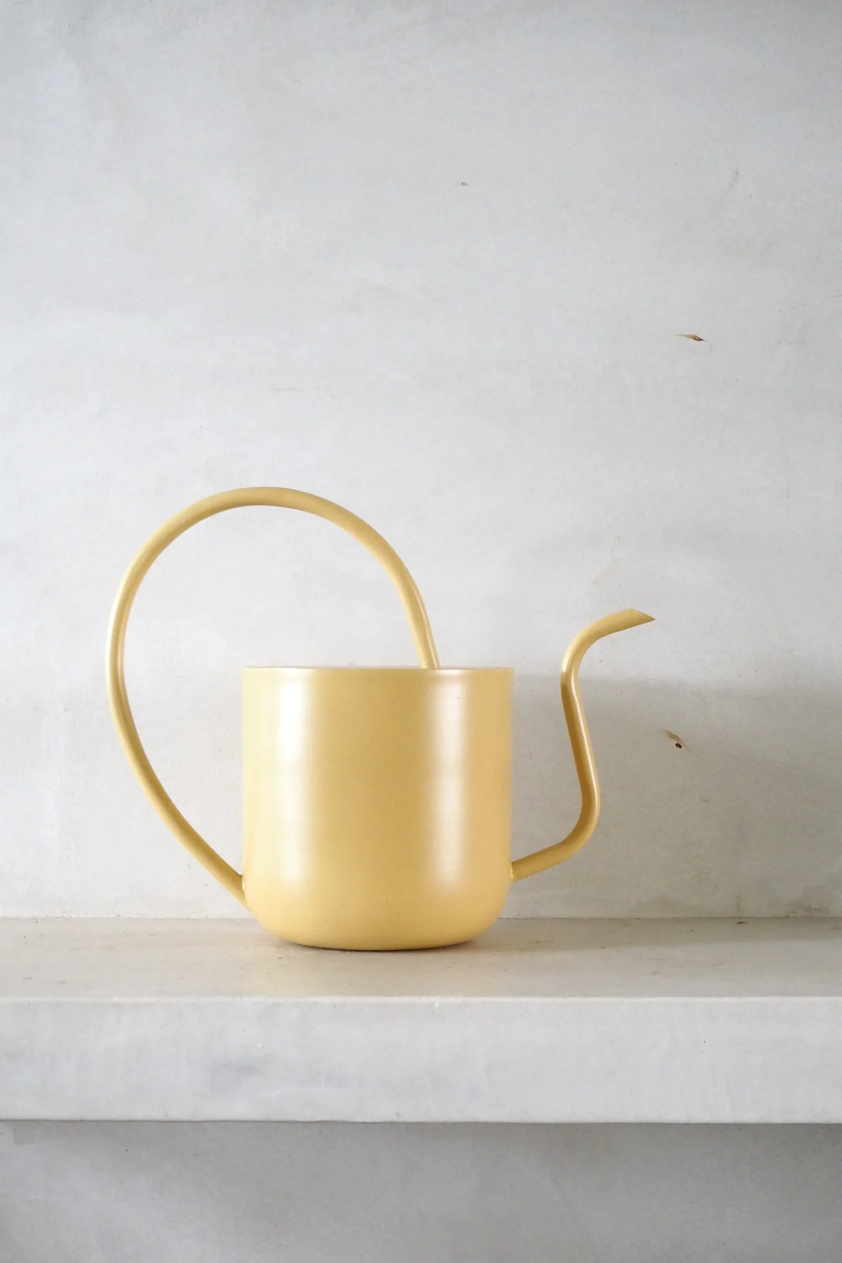PLANT Vandkande, pale yellow