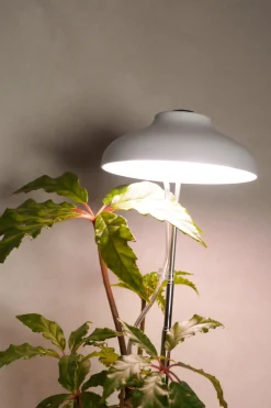 PLANT Vækstlampe, LED Discount