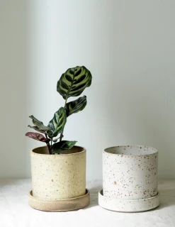 PLANT V.O krukke - hvid, large