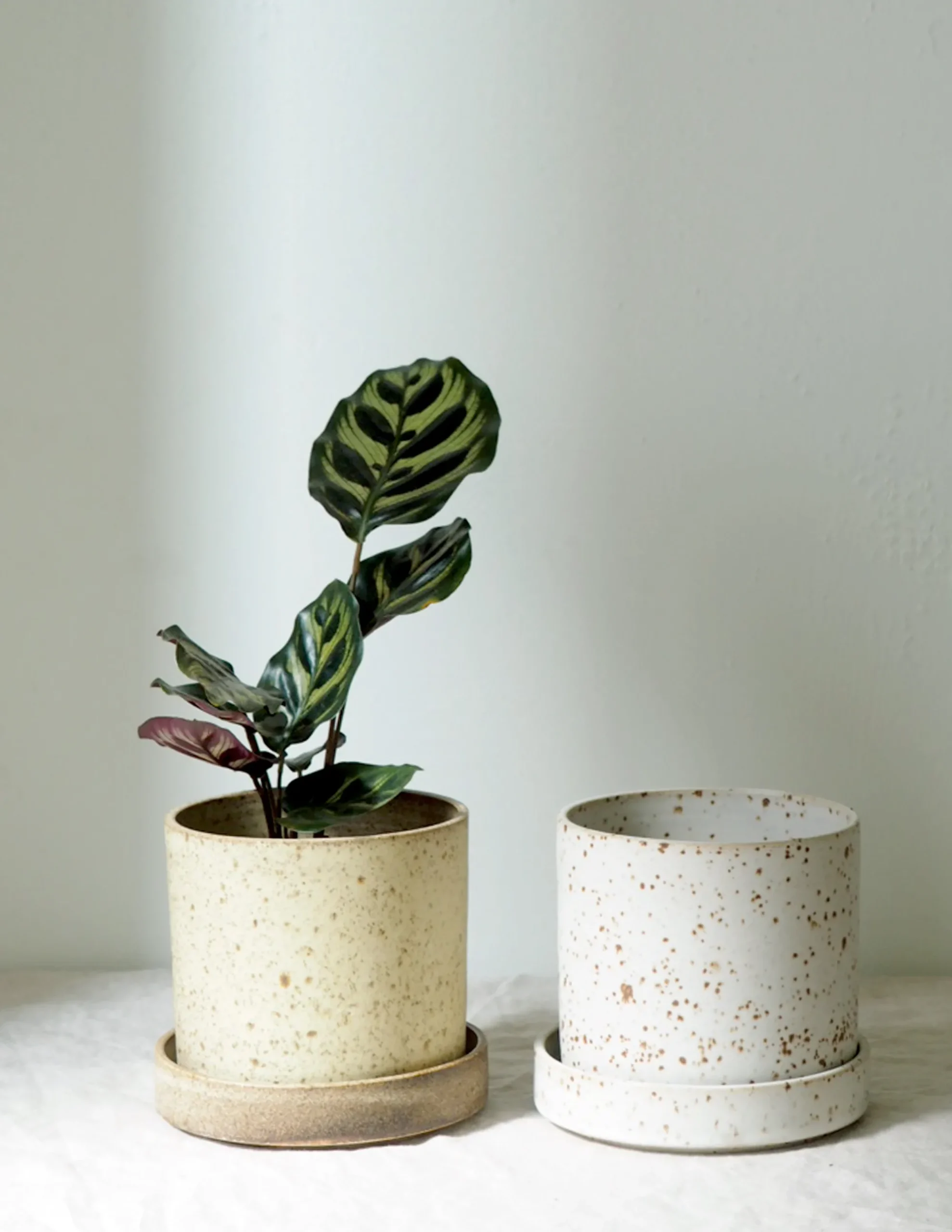PLANT V.O krukke - hvid, small Outlet