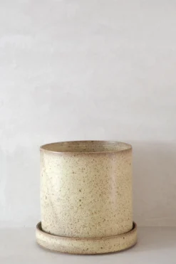 PLANT V.O krukke - sand, large New