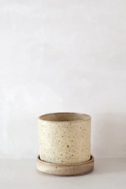 PLANT V.O krukke - sand, small New
